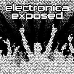 Electronica Exposed